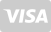 Visa Electron